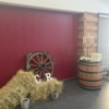 Roue de charrue - Image 2